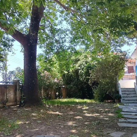 Katerina House By Rentalspro - Fourka Halkidiki * Skála Foúrkas
